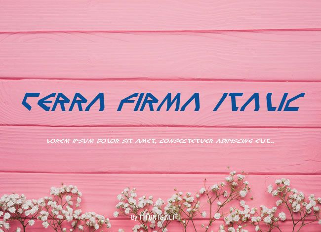 Terra Firma Italic example